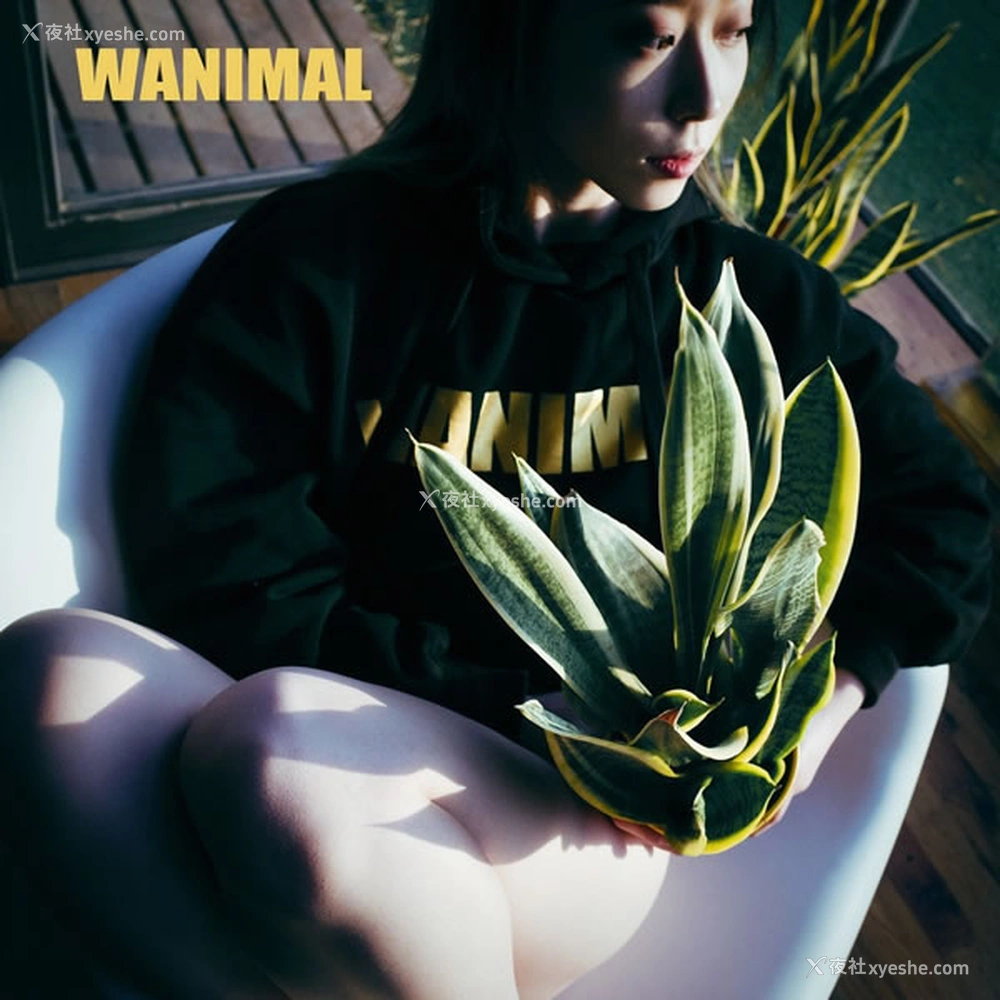 1P - 王动VIP精美视图无圣光人体写真回顾15