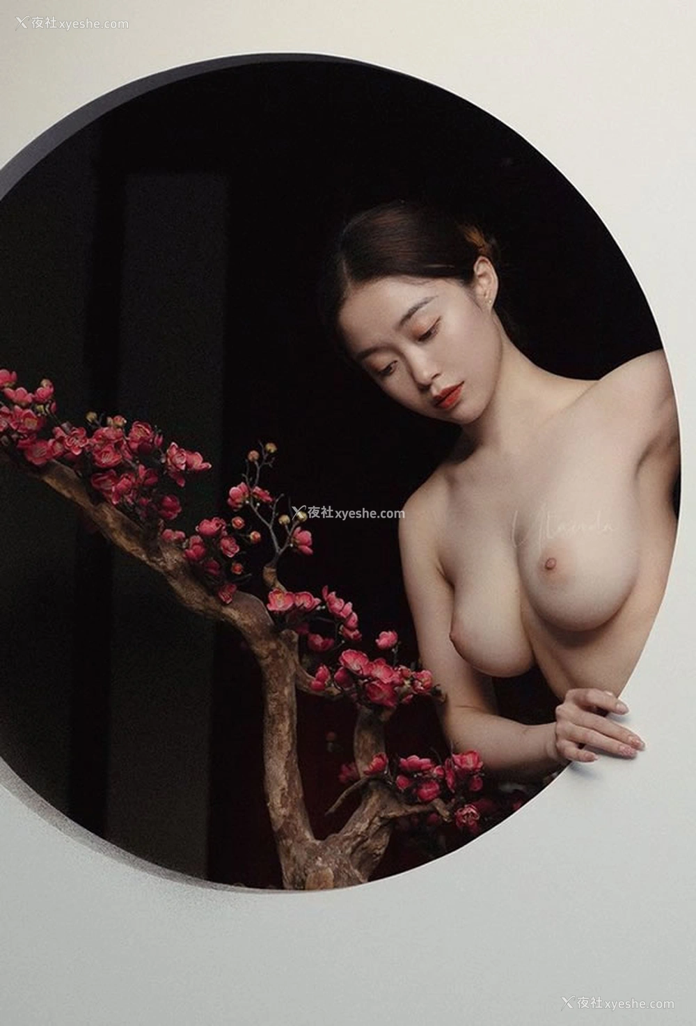 1P - 摄影师ArtStu出品无圣光人体艺术图集6