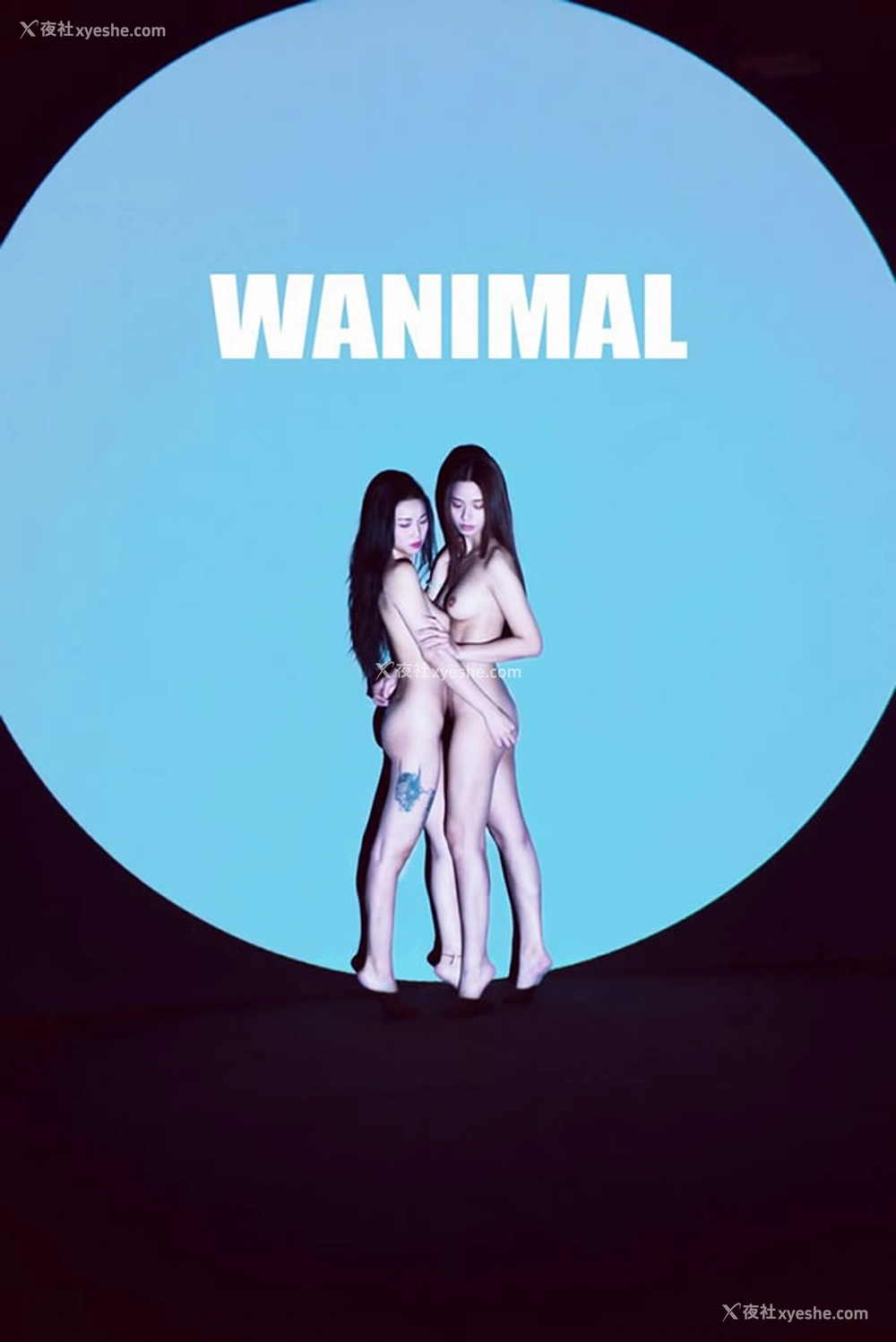 1P - 王动WANIMAL官方出品5月VIP无圣光人体艺术套图写真