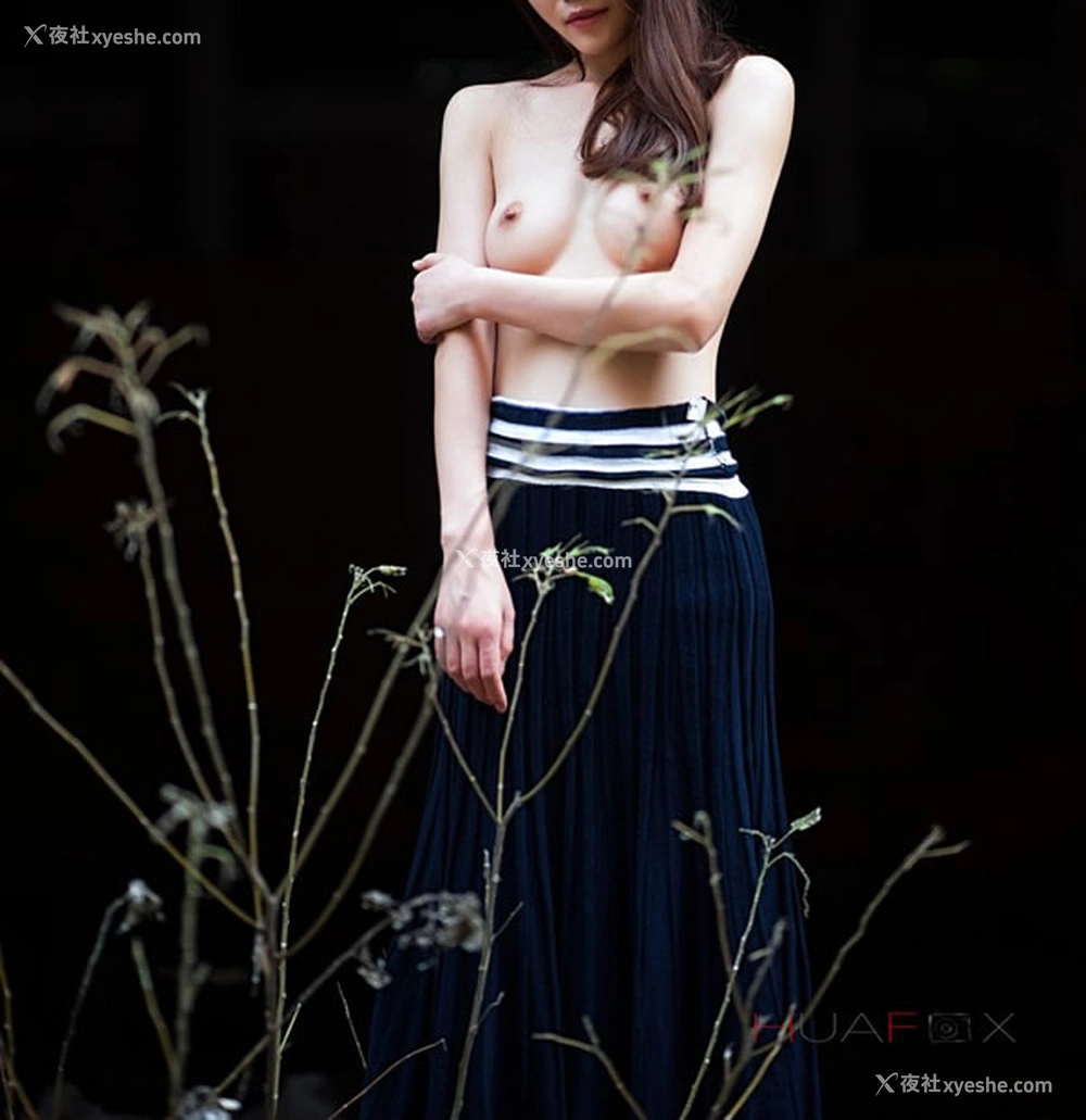 1P - HuaFox花狐狸私拍之无圣光人体艺术写真合集