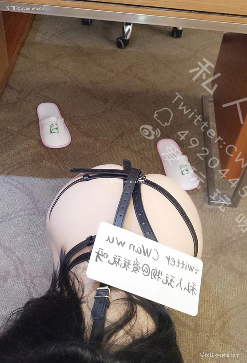 1P - 私人玩物-情趣与调教捆绑无圣光套图