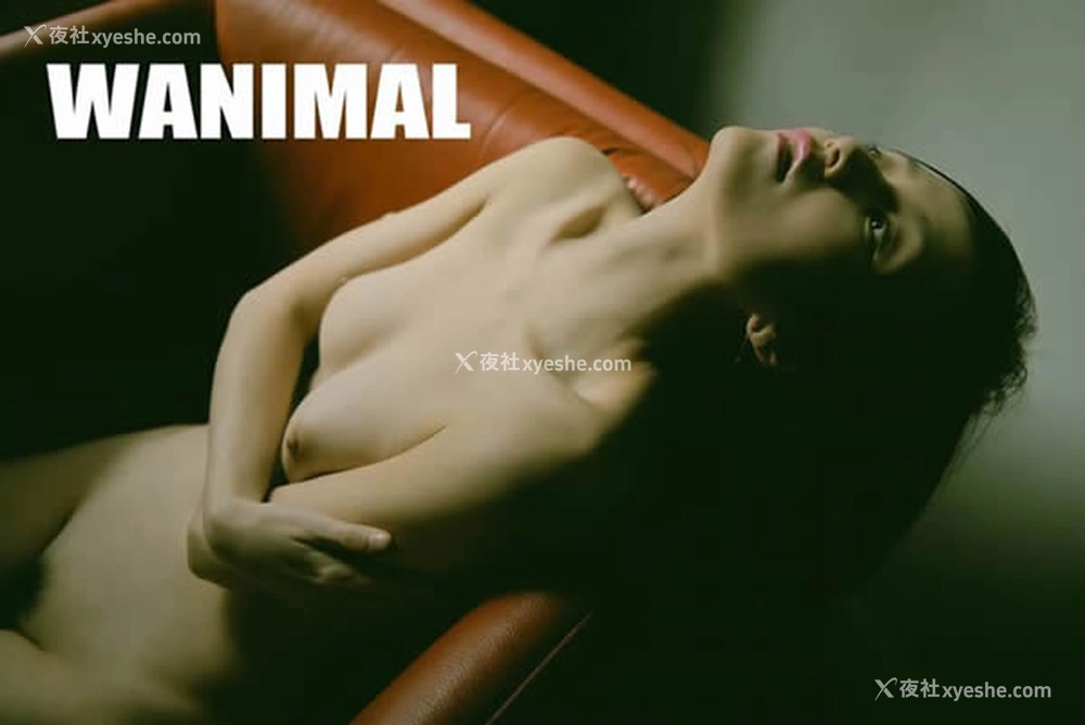 1P - 王动WANIMAL出品无圣光套图写真（三）