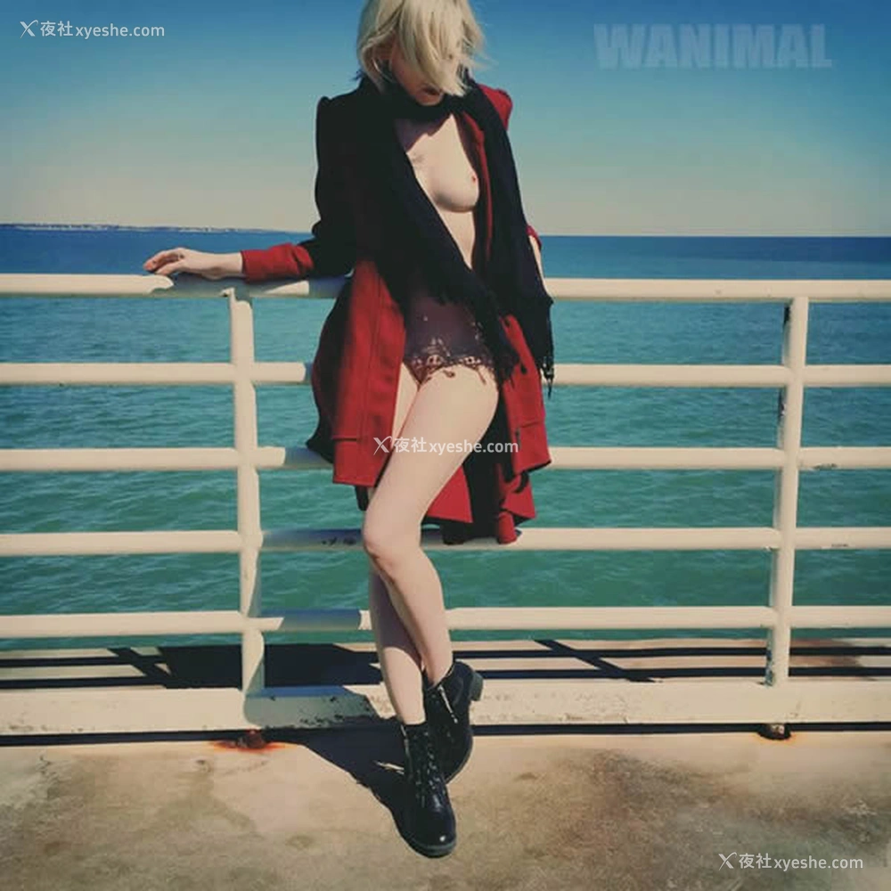 1P - 王动WANIMAL出品无圣光套图写真（三）
