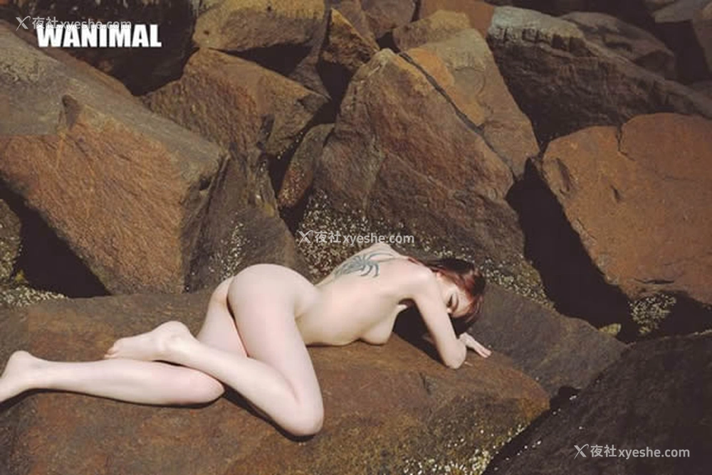 1P - 王动WANIMAL出品无圣光套图写真（三）