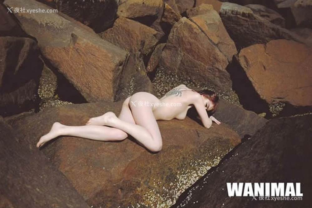 1P - 王动WANIMAL出品无圣光套图写真（三）