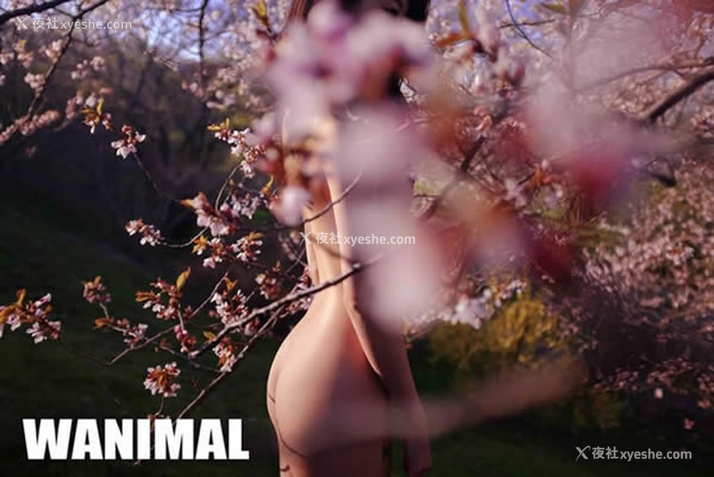 1P - 王动WANIMAL出品无圣光套图写真（三）