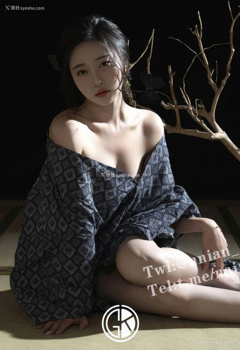 1P - 极品女神熙涵 没落的贵族 年年碟之梦唯美图集