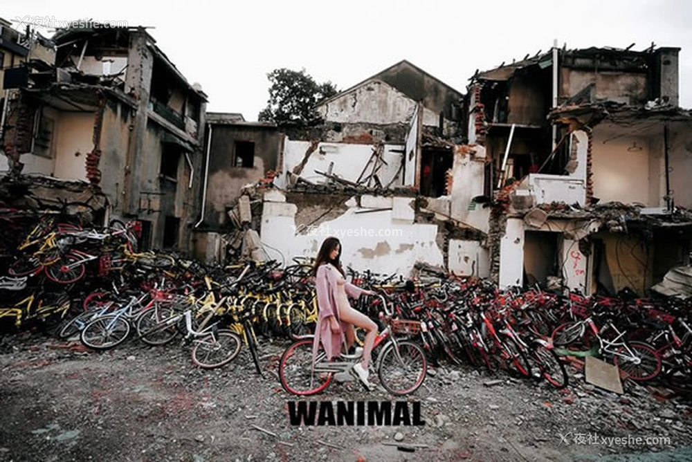 1P - WANIMAL王动2017年12月VIP无圣光人体艺术1