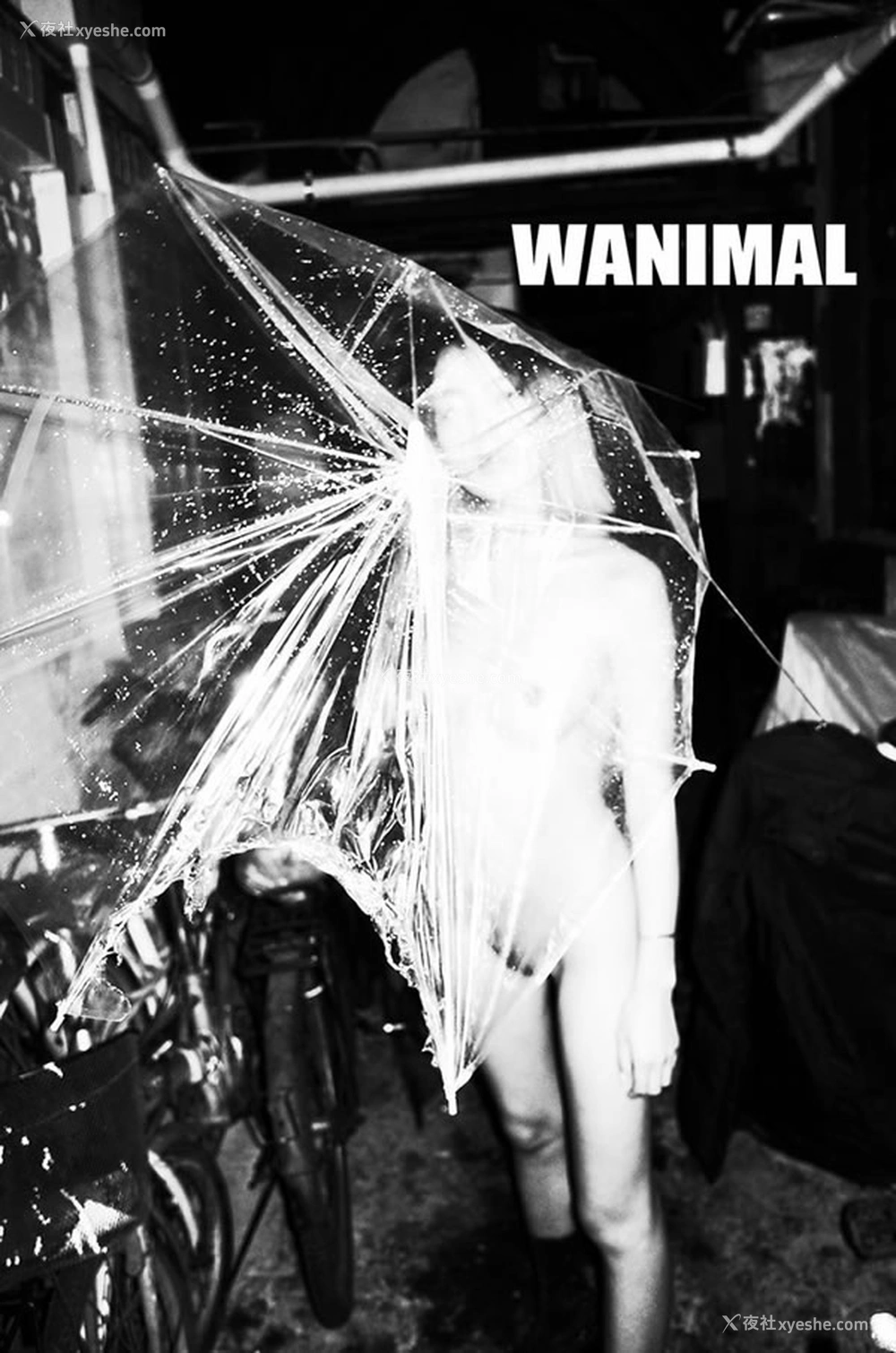1P - WANIMAL王动2017年12月VIP无圣光人体艺术1