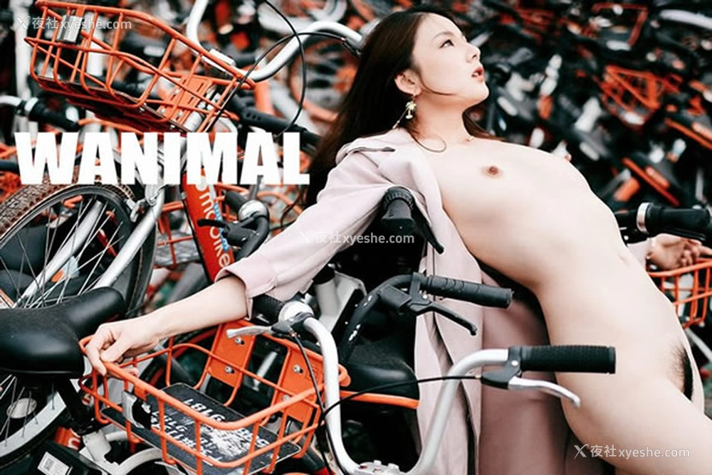 1P - WANIMAL王动2017年12月VIP无圣光人体艺术1