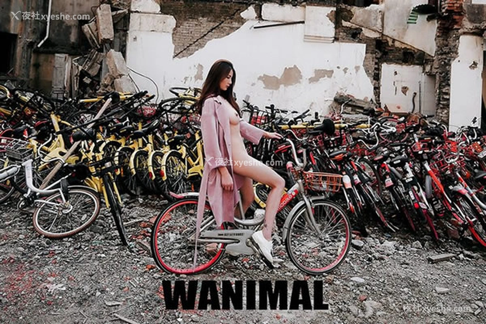 1P - WANIMAL王动2017年12月VIP无圣光人体艺术1