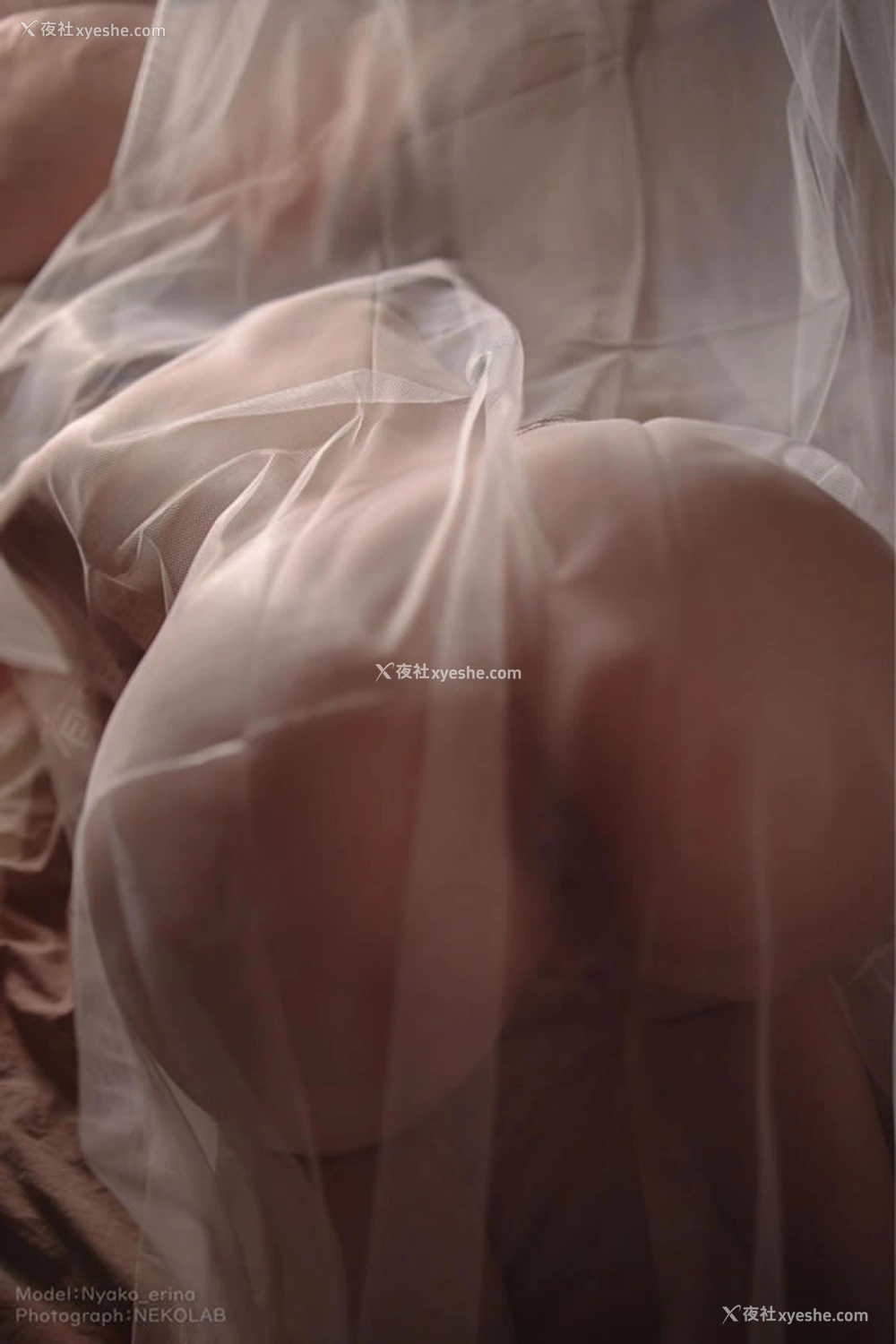 1P - 网红美女有喵酱 – SWEET_DREAM