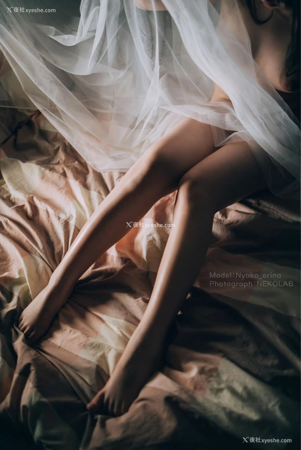 1P - 网红美女有喵酱 – SWEET_DREAM