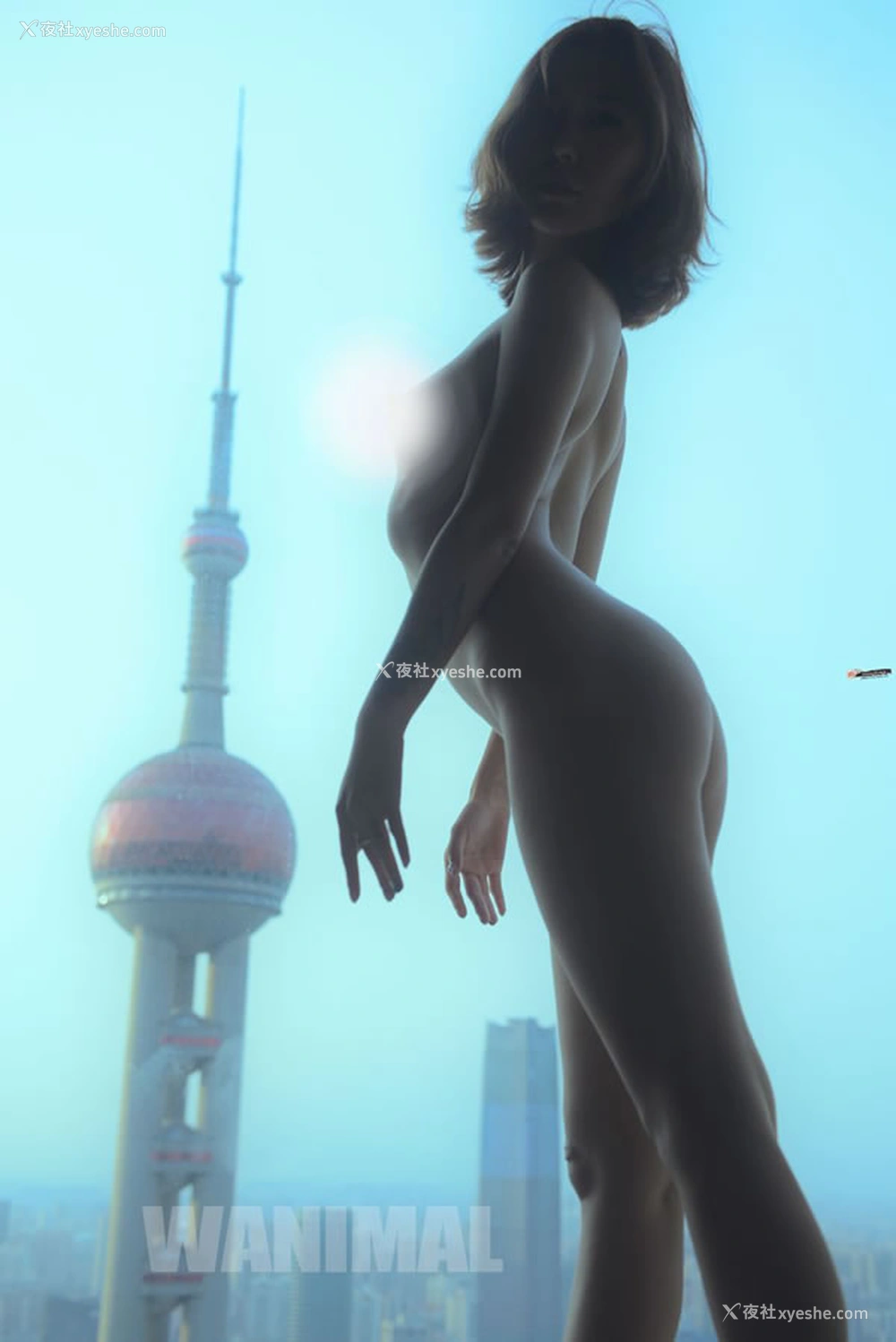 1P - WANIMAL王动无圣光人体艺术套图美学 艺术合体