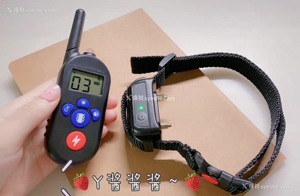 1P - 网红霉可可体操服 Y酱酱酱SM尺度图集