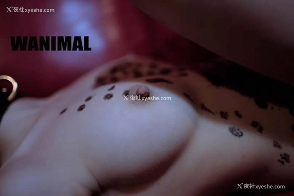 1P - WANIMAL王动2017年11月VIP无圣光滴蜡人体艺术套图