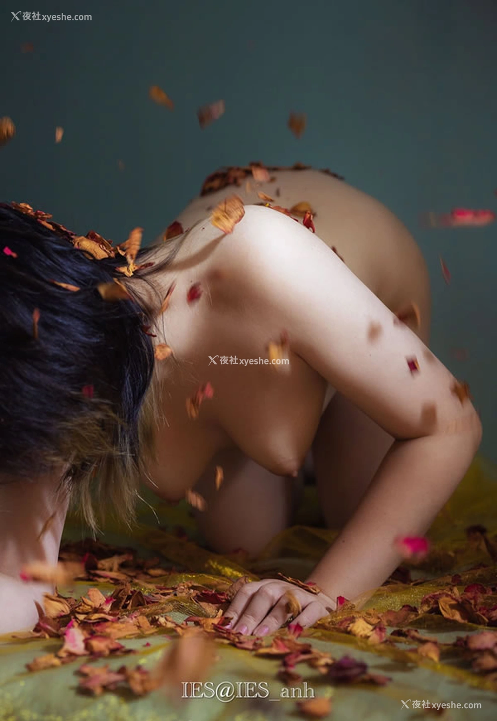 1P - 摄影师IES 未时告白出品无圣光唯美人体图集4