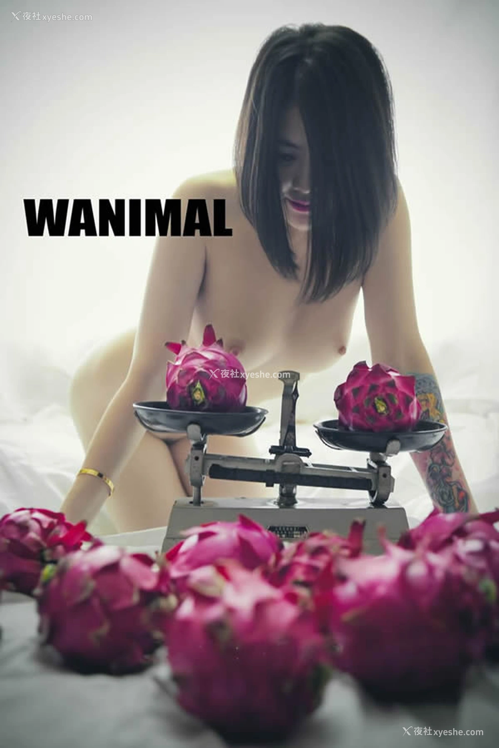 1P - WANIMAL王动官方出品2017年12月火龙果无圣光套图