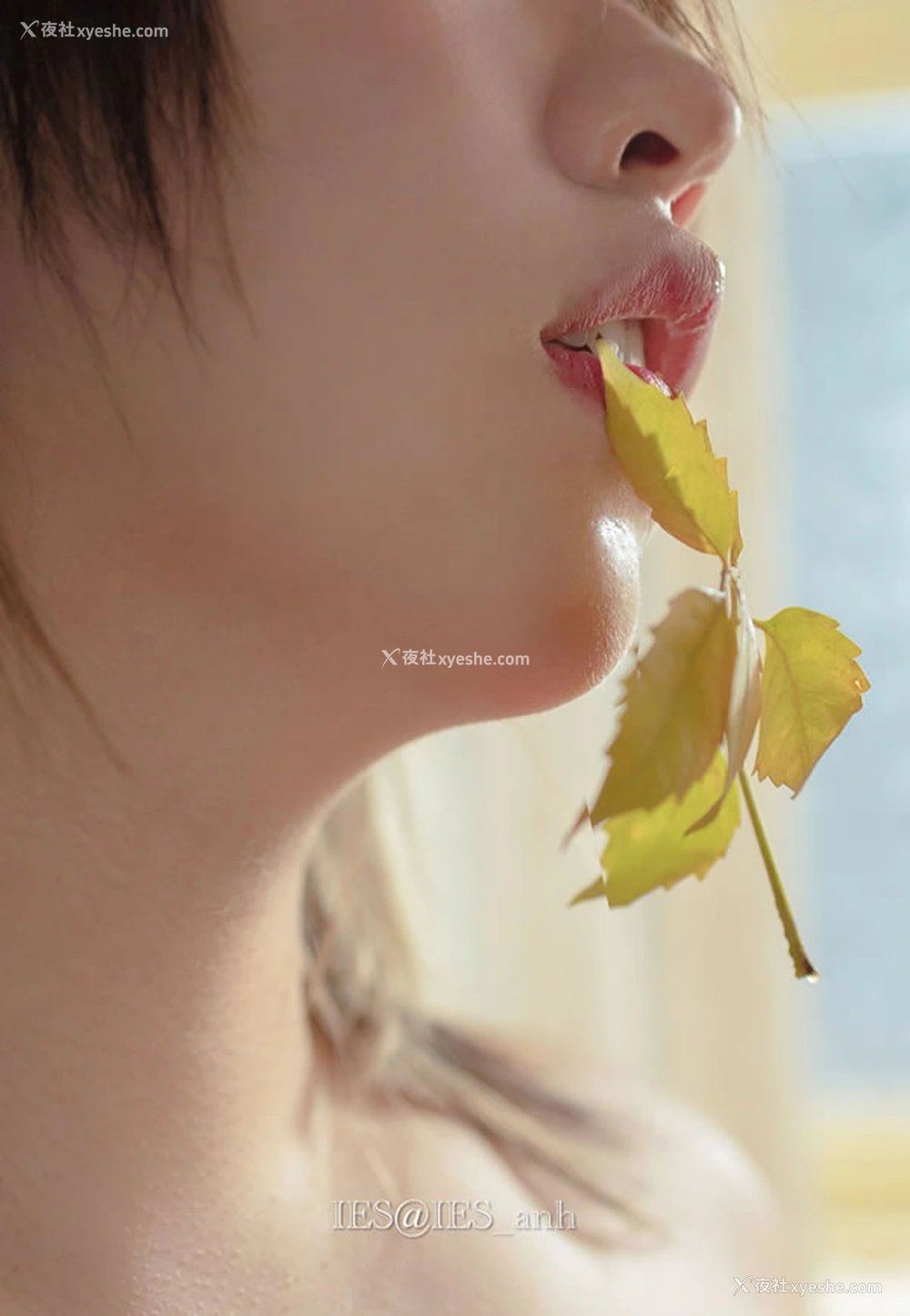 1P - 摄影师IES 未时告白出品无圣光唯美人体图集