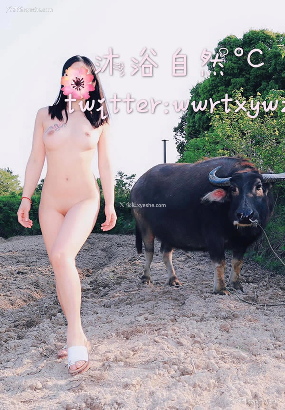 1P - 推特沐浴自然°C露出无圣光视图集