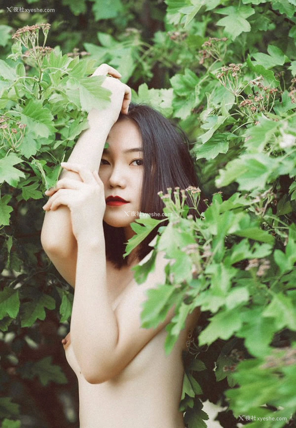 1P - 摄影师DDD出品无圣光唯美人体图集