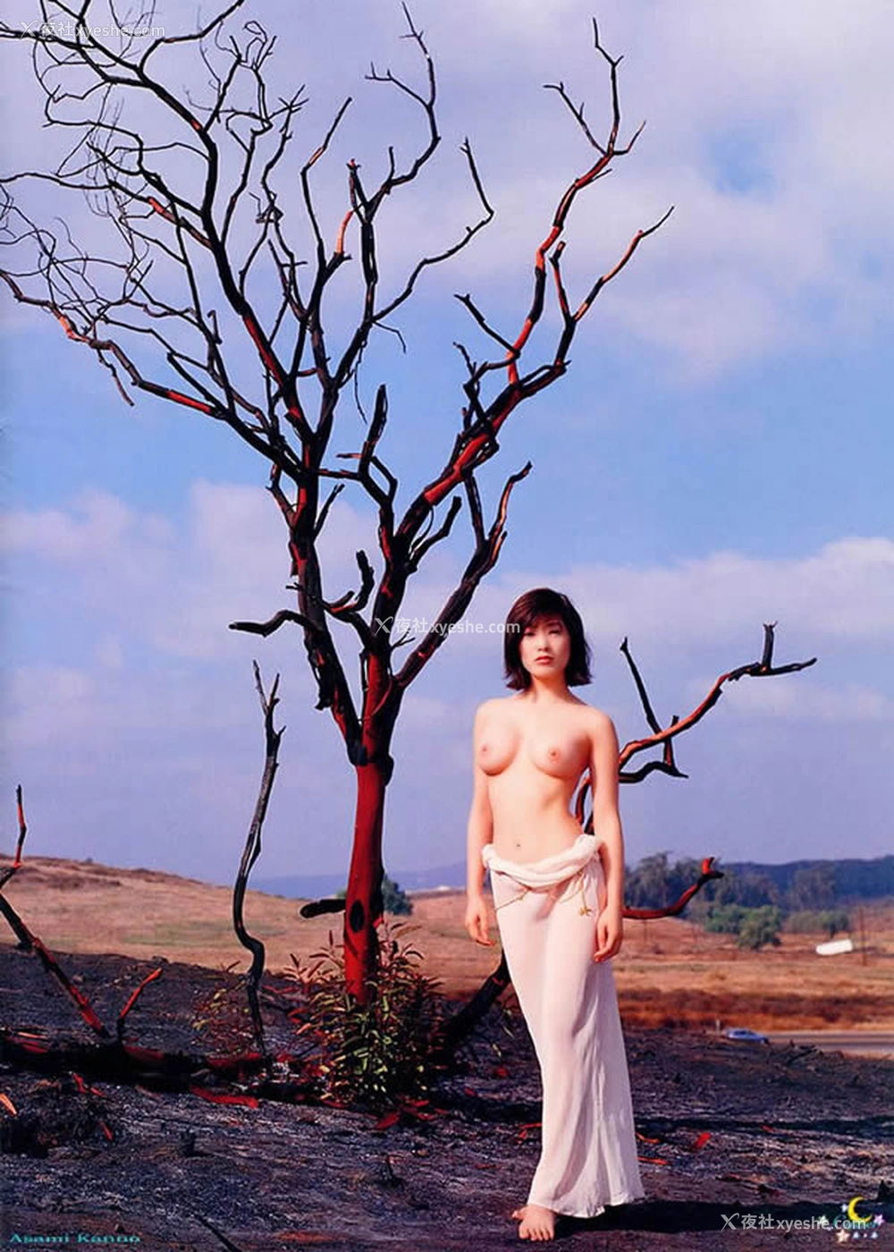 1P - 极品女神杨思敏之妖精开花系列无圣光人体艺术写真2