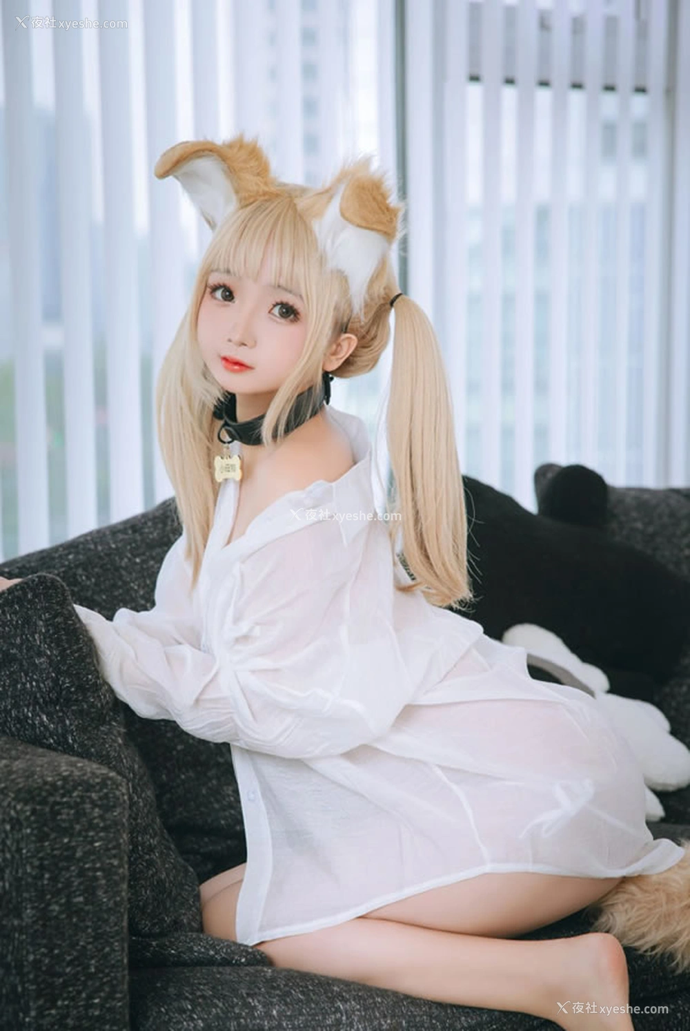 1P - 网红美女日奈娇–衬衫小狗
