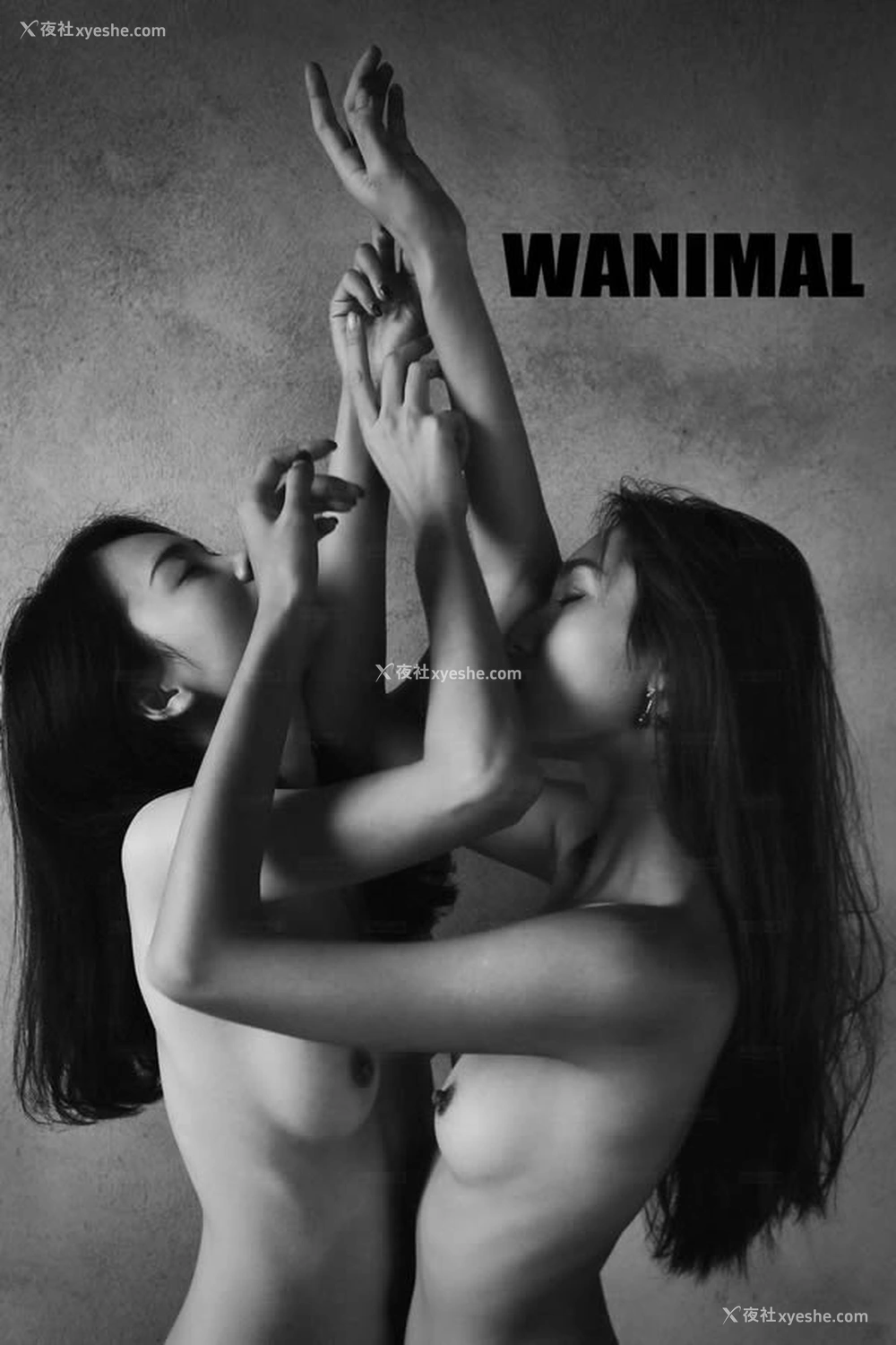1P - WANIMAL王动官方出品2017年11月VIP无圣光人体艺术套图