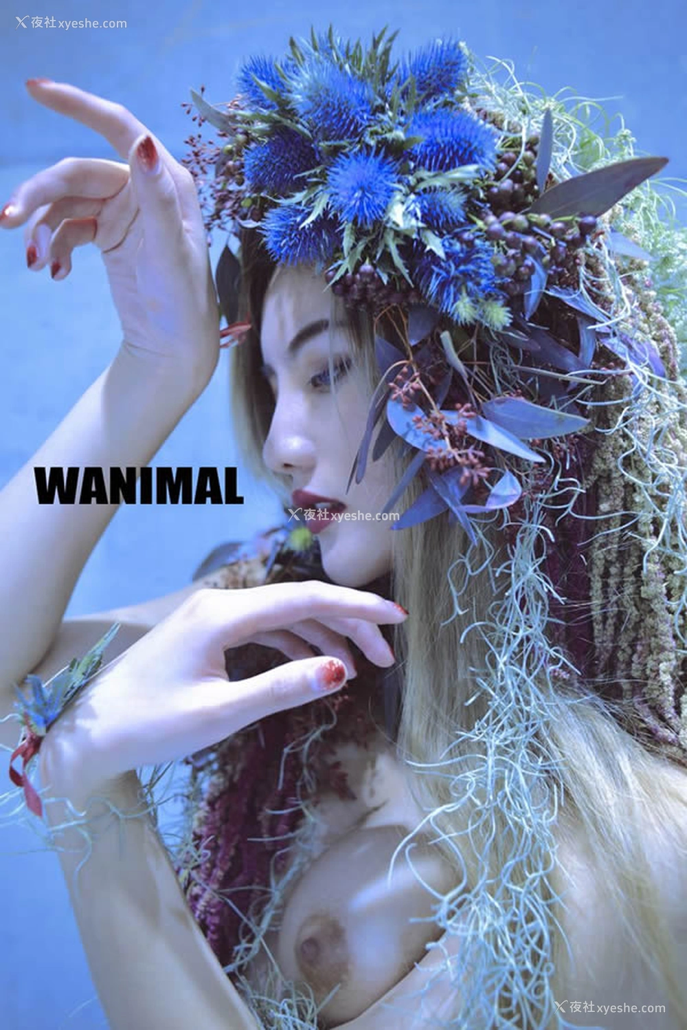 1P - WANIMAL王动官方出品2017年11月VIP无圣光人体艺术套图