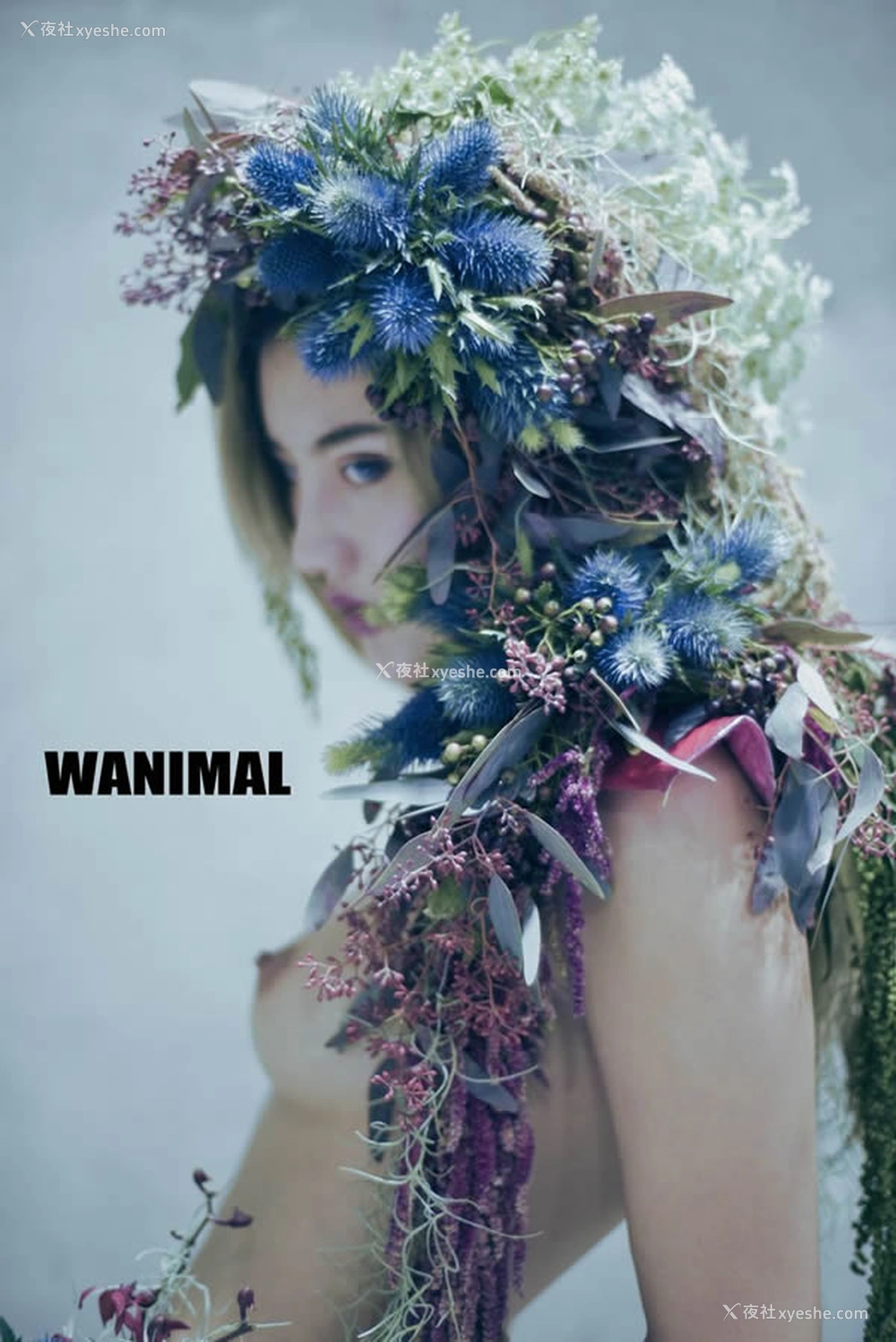 1P - WANIMAL王动官方出品2017年11月VIP无圣光人体艺术套图