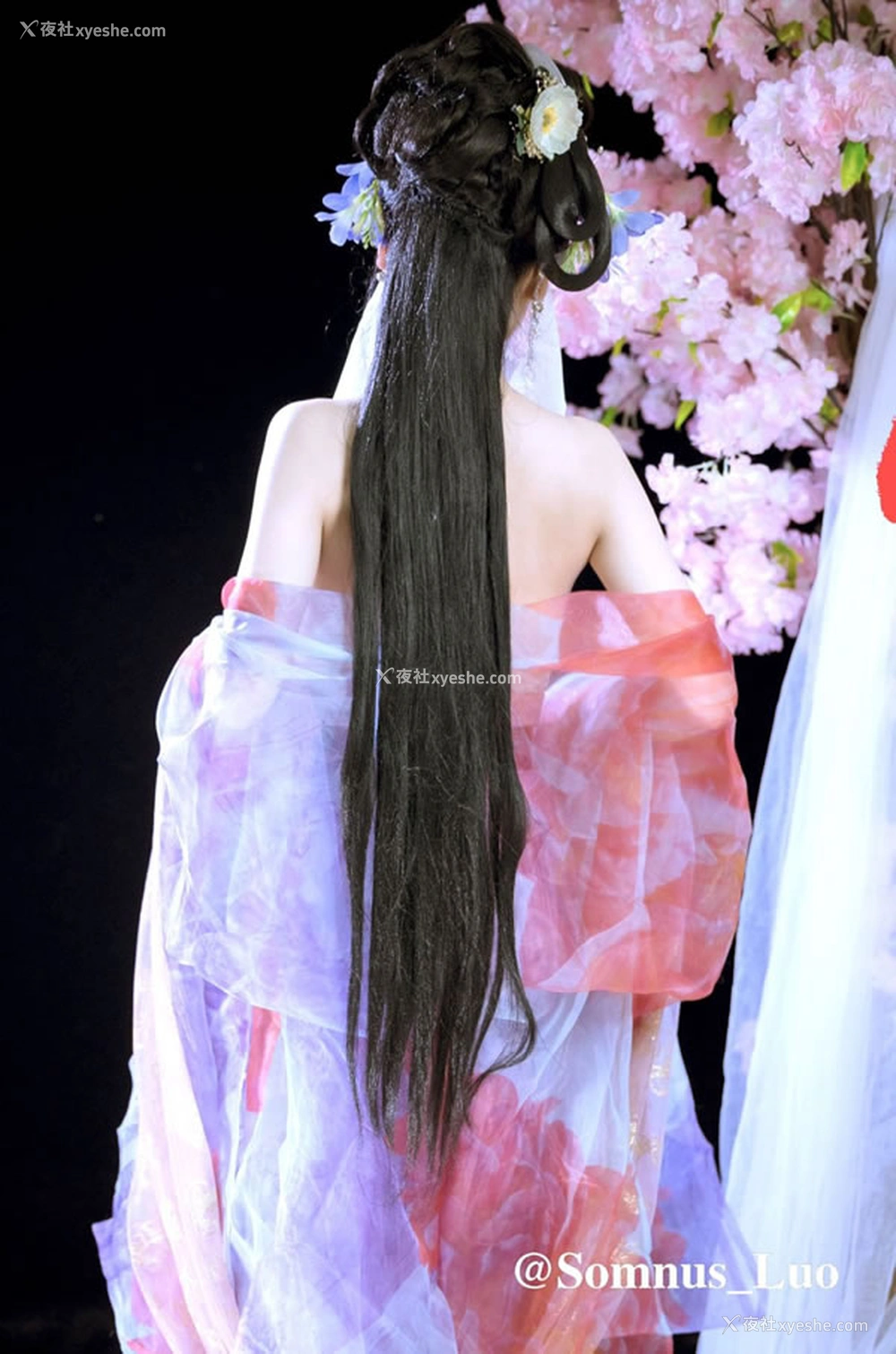 1P - 古装唯美人体摄影天花板落苏无圣光图集