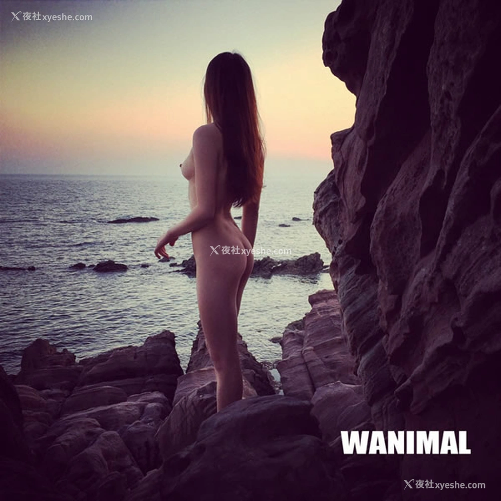 1P - 王动wanimal众模特全辑无圣光人体艺术套图