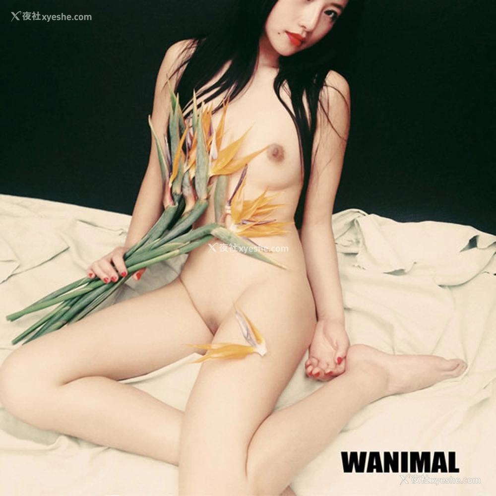 1P - 王动wanimal众模特全辑无圣光人体艺术套图