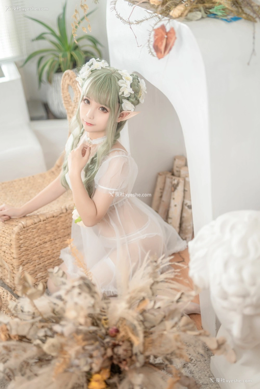 1P - 动漫博主蠢沫沫 – 尖耳国度 绿精灵