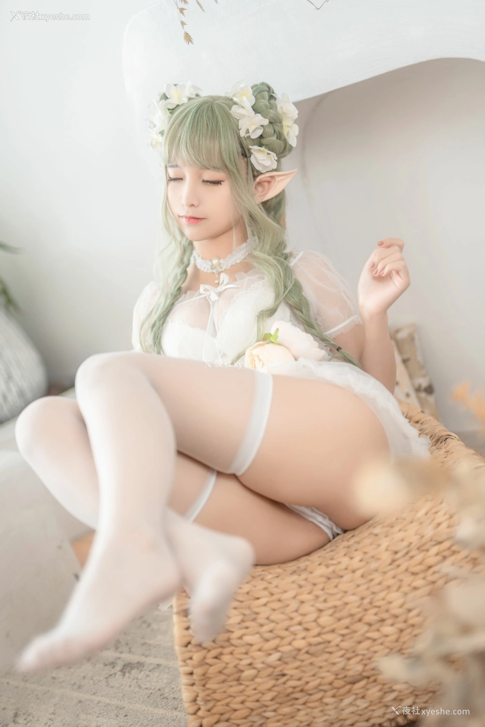 1P - 动漫博主蠢沫沫 – 尖耳国度 绿精灵