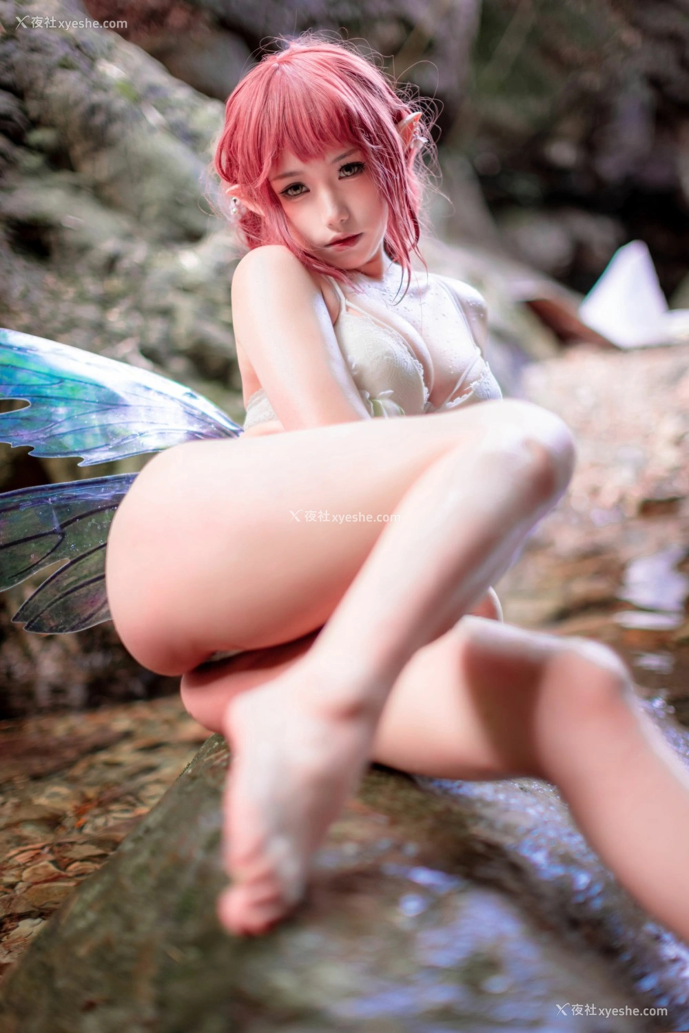 1P - 一北亦北 – 花精灵