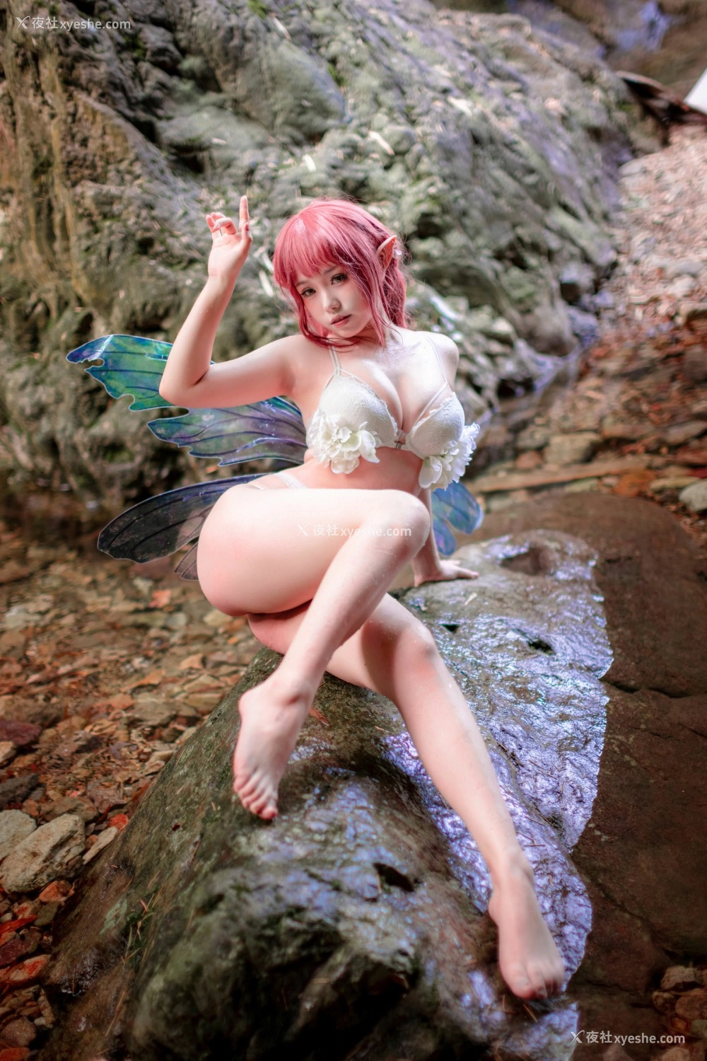1P - 一北亦北 – 花精灵