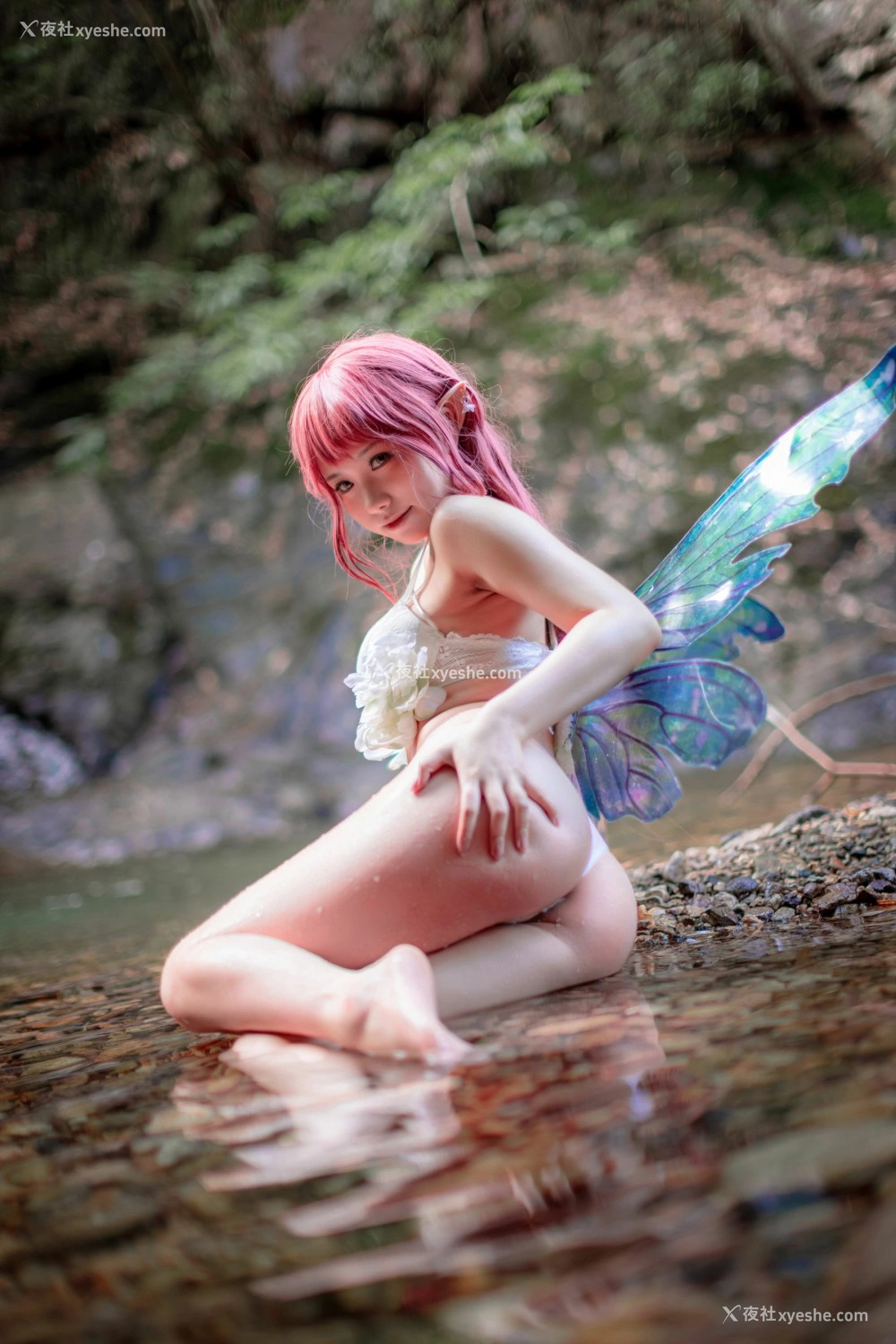 1P - 一北亦北 – 花精灵