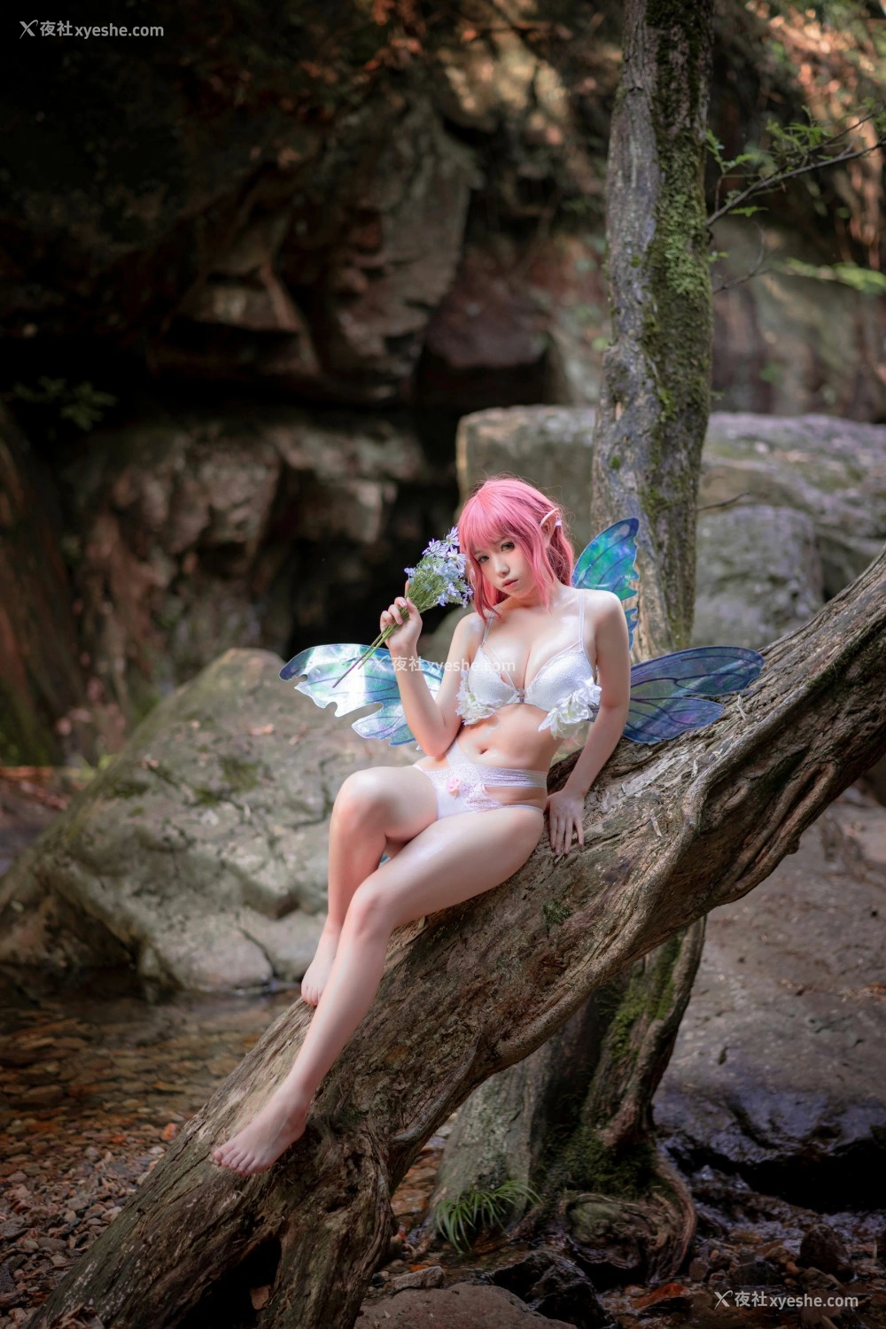 1P - 一北亦北 – 花精灵