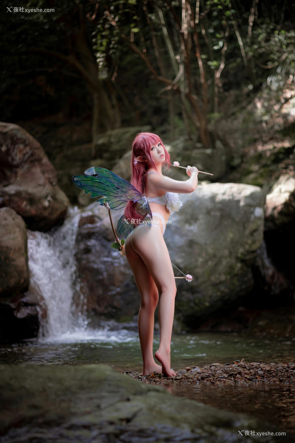 1P - 一北亦北 – 花精灵