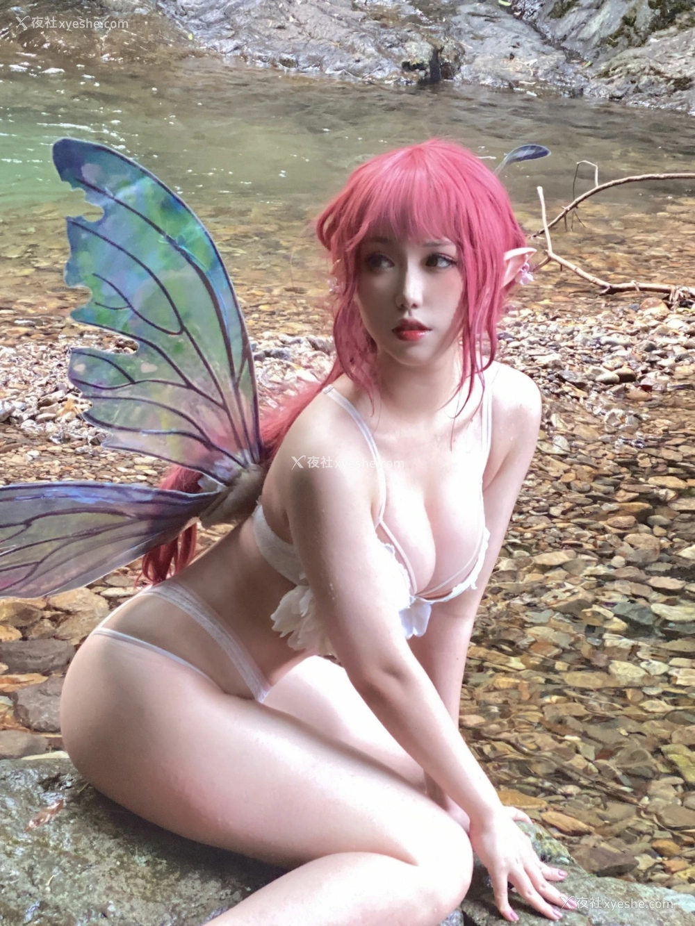 1P - 一北亦北 – 花精灵