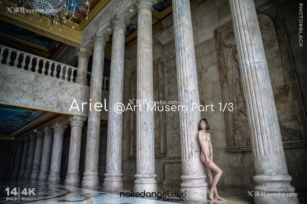 1P - Ariel《美术馆》