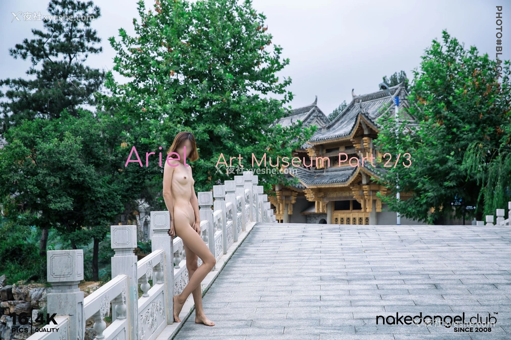 1P - Ariel《美术馆》