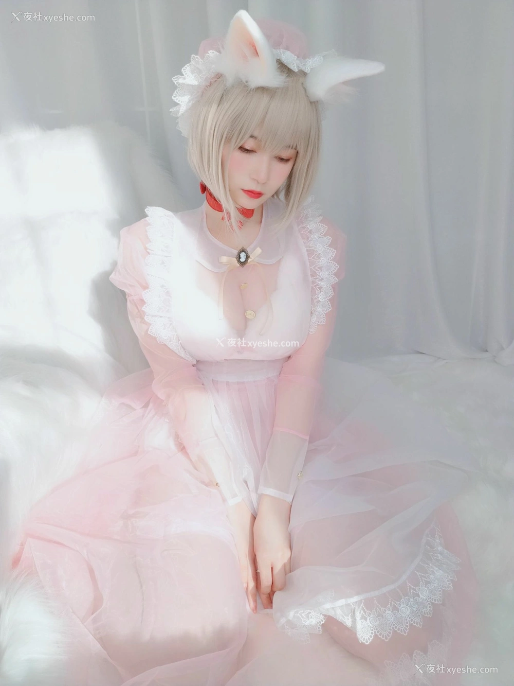 1P - Coser小姐姐白银 – 女仆小兔子