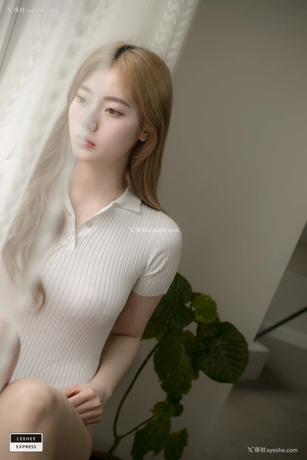 1P - [LeeheeExpress]041 LEDG-017 – J.A