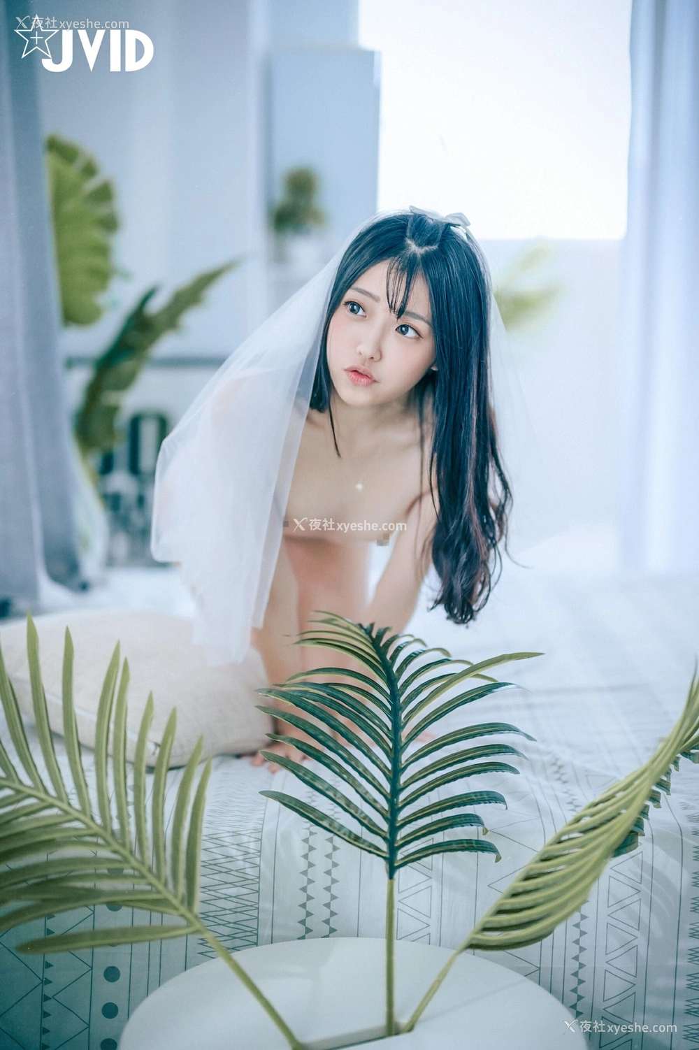 1P - 妍妍《纯白の花嫁》