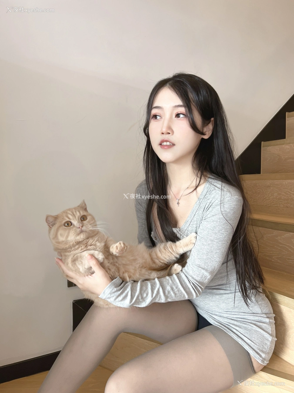 1P - 不呆猫 – 居家猫猫女友