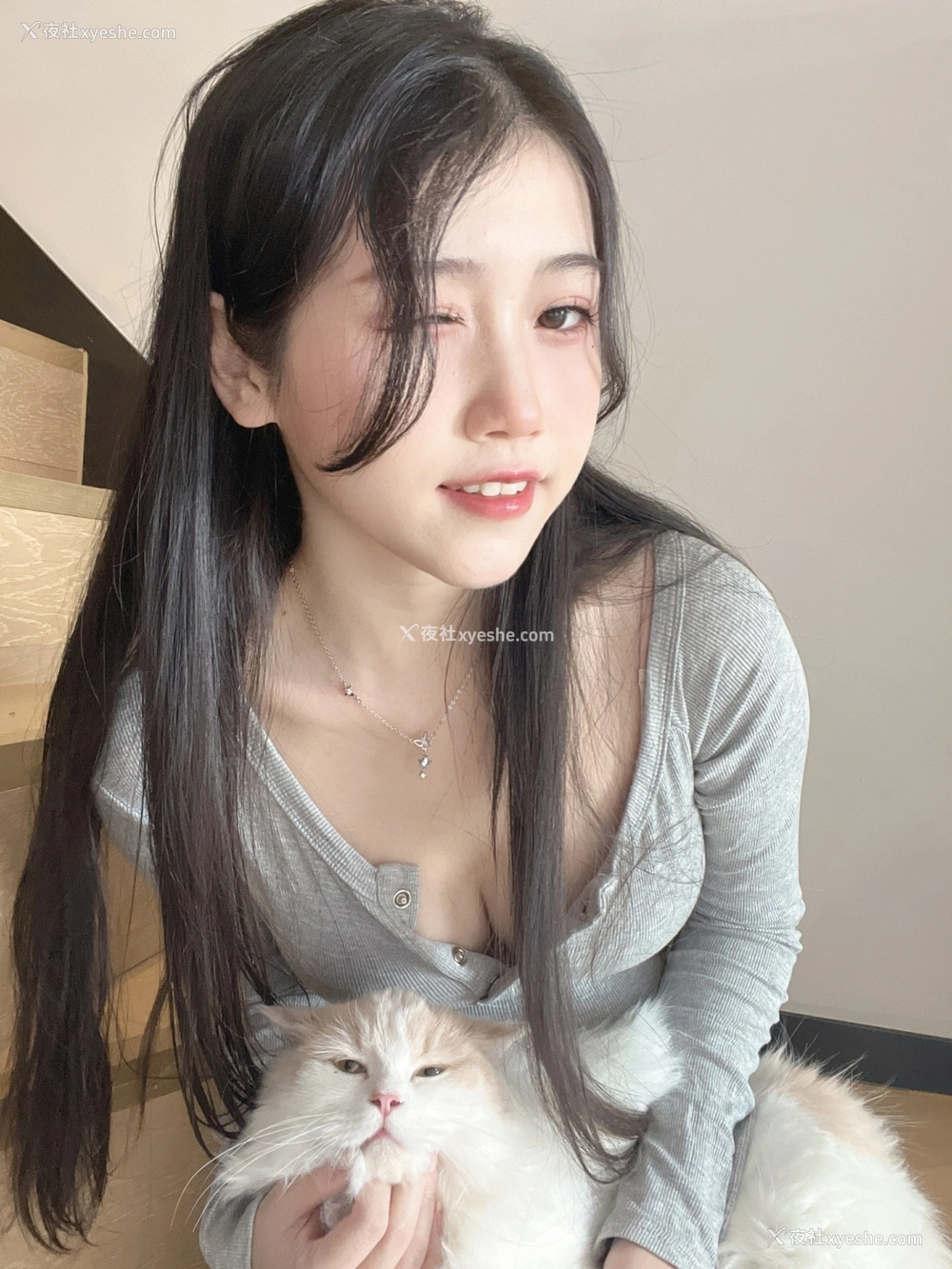 1P - 不呆猫 – 居家猫猫女友
