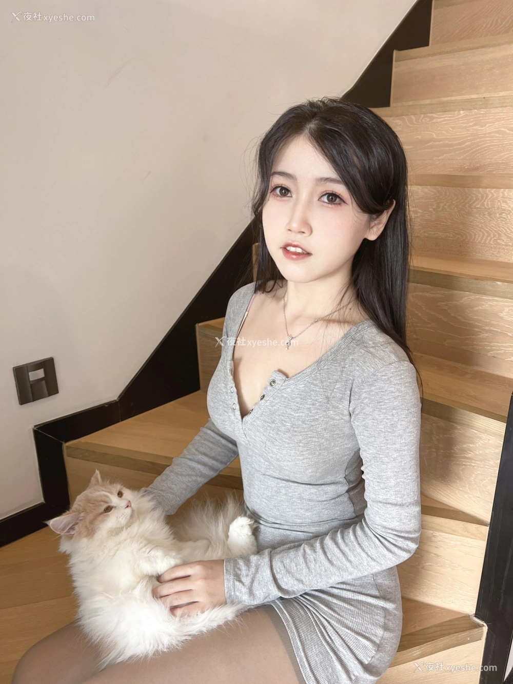 1P - 不呆猫 – 居家猫猫女友