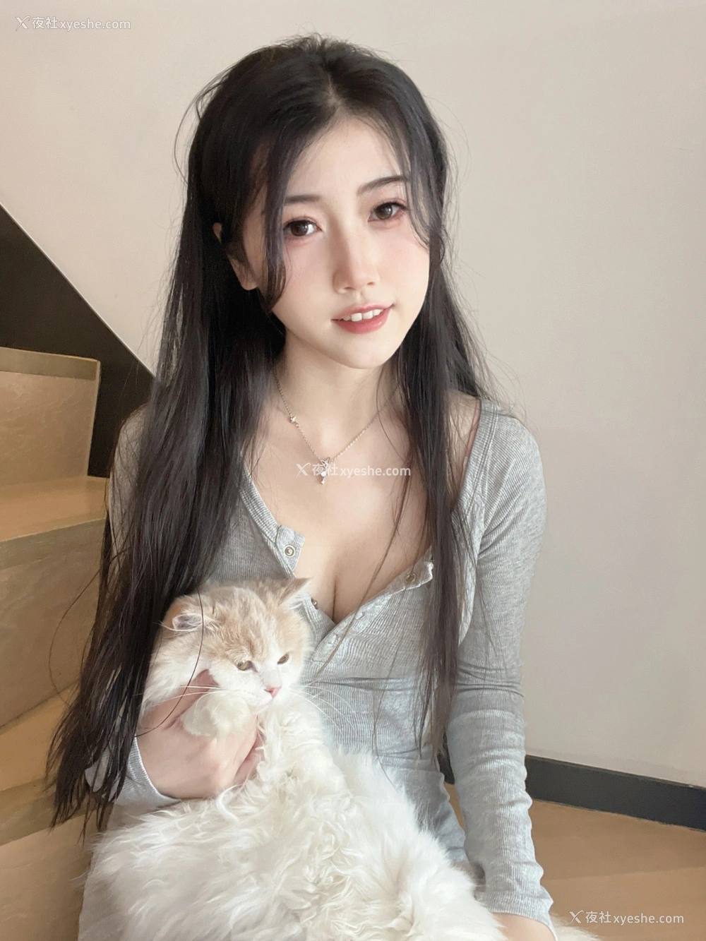 1P - 不呆猫 – 居家猫猫女友